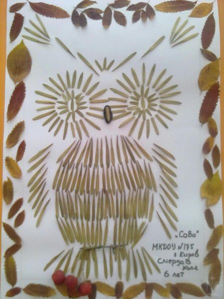 Аппликация из крылаток