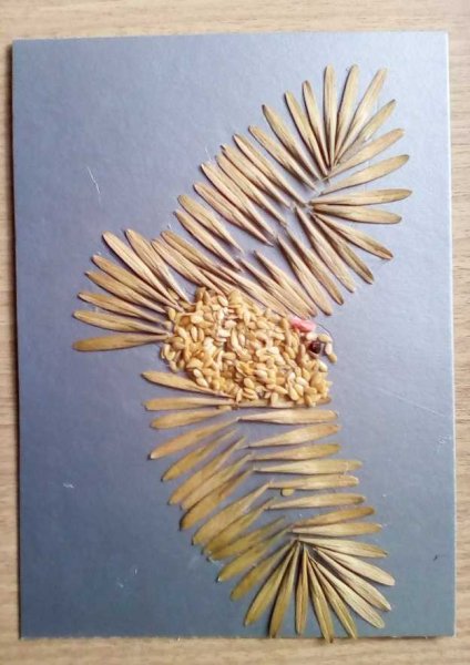 Поделки из крылаток ясеня для детей