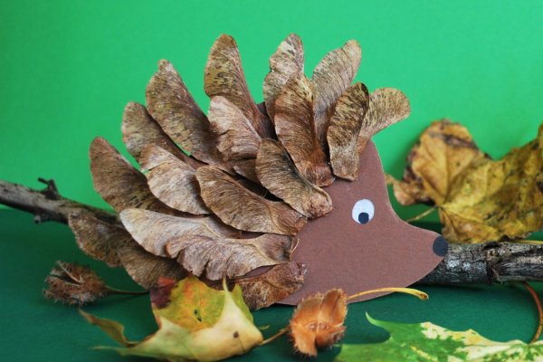 Объемная аппликация из природного материала