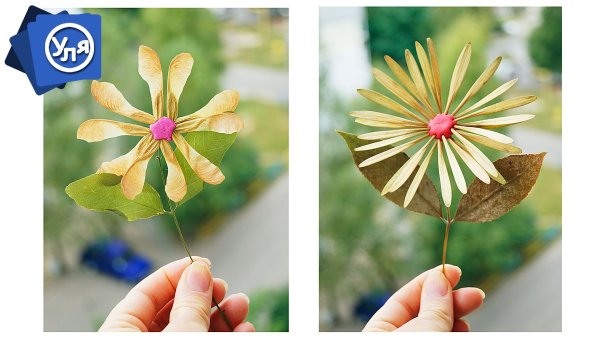 Цветы из крылаток ясеня и клена