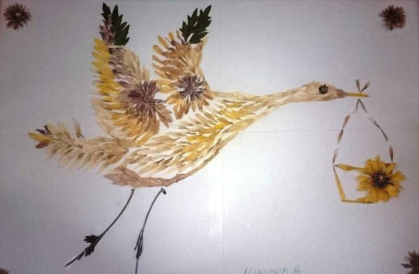 Сова из кленовых вертолетиков