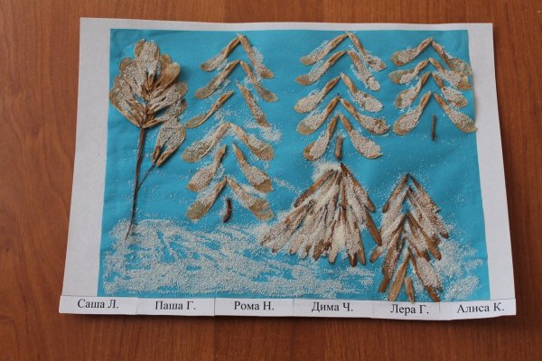 Поделки из природного материала зима