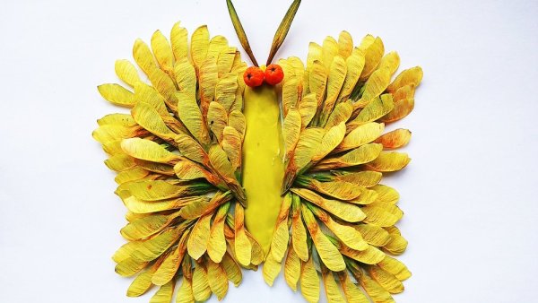 Бабочка из природного материала