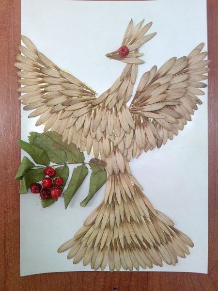 Жар птица из вертолетиков клена