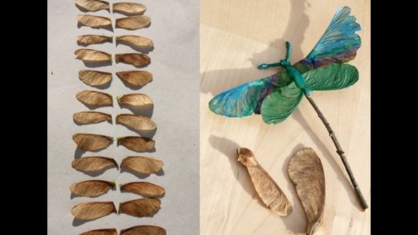 Поделки из семян клена и ясеня для детей