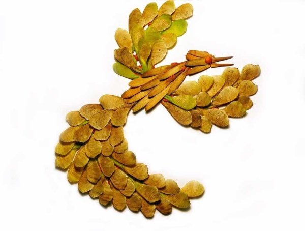 Природный материал для поделок