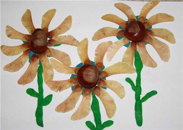 Цветы из крылаток ясеня