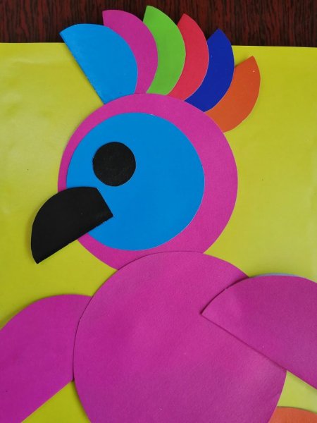 Попугай из кругов аппликация