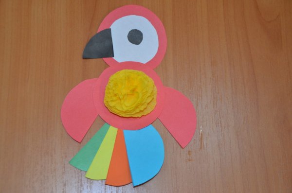 Попугай из кругов