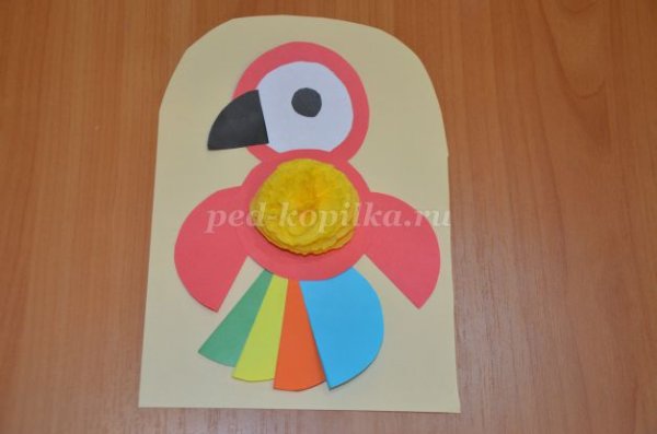 Аппликация попугай старшая группа