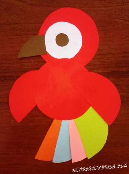 Попугай из кругов аппликация