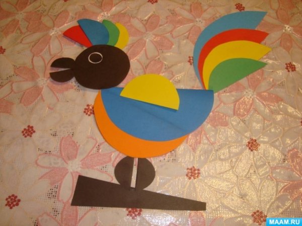 Попугай из кругов