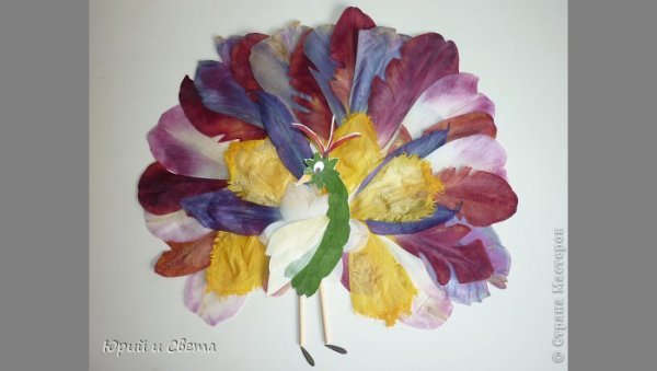 Аппликация из лепестков роз