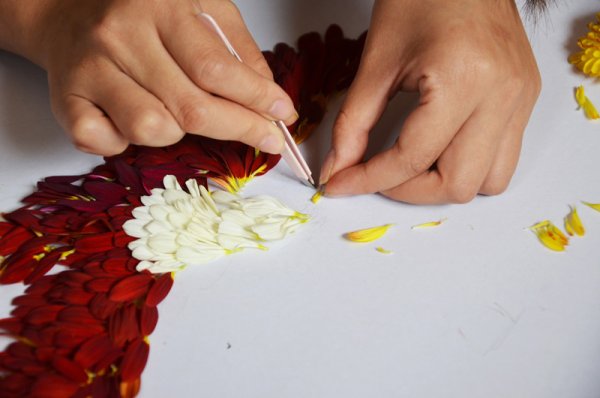 Картины из лепестков цветов