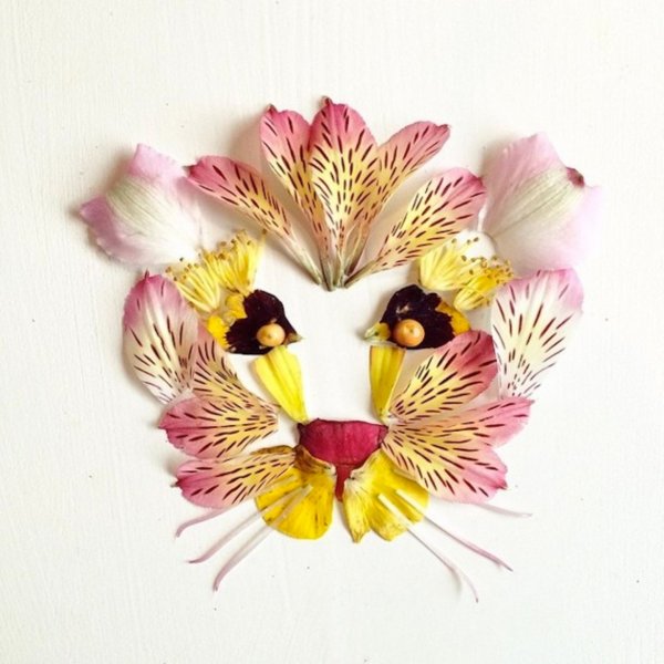 Ошибана Бриджит Коллинс