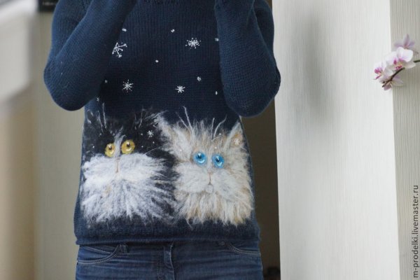 Кот в свитере