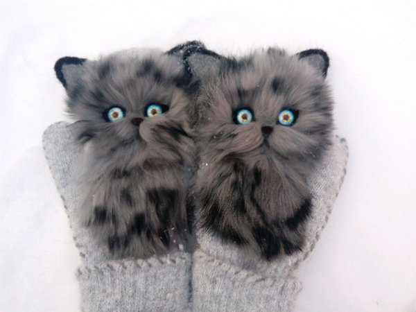 Звероварежки тигрята