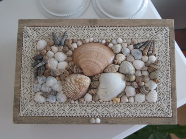 Композиция из ракушек и камней