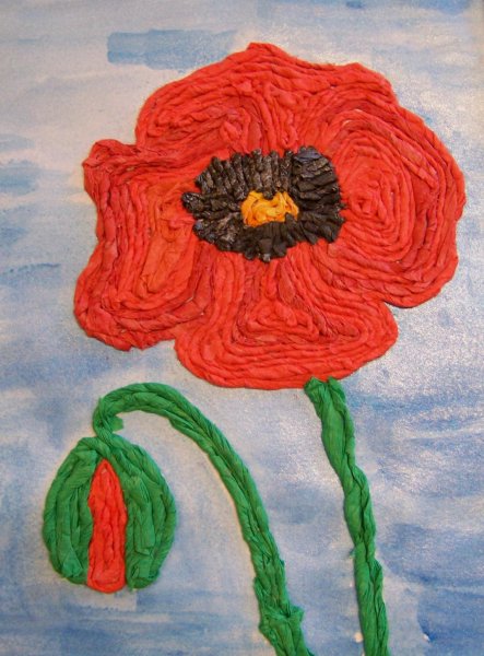 Мак ниткография