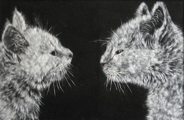 Картины тополиным пухом на бархатной бумаге