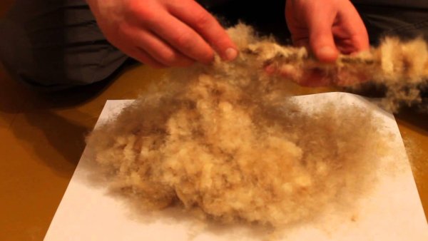 Мех из Рогоза