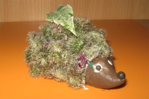 Ежик из колючек поделка