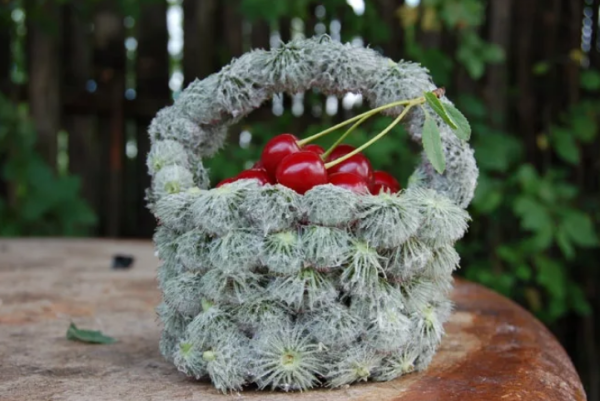 Фигуры из репейника