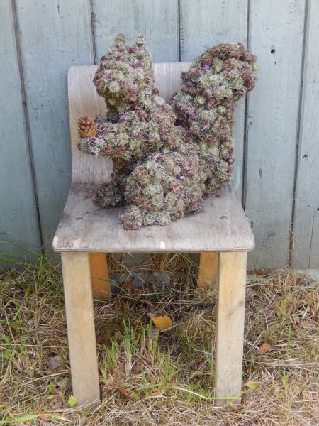 Поделки из репейника