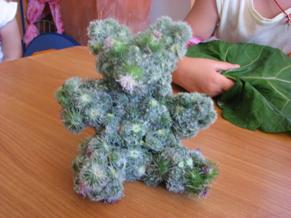 Поделки из репейника