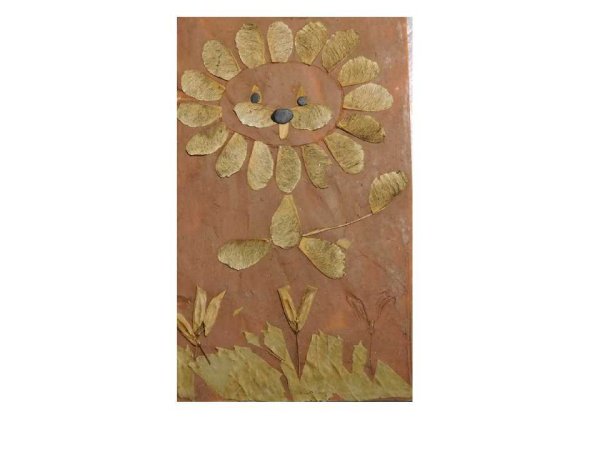 Аппликация из кленовых вертолетиков