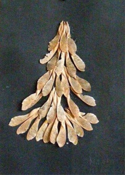 Поделки из кленовых семян