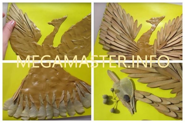 Жар птица из семян ясеня