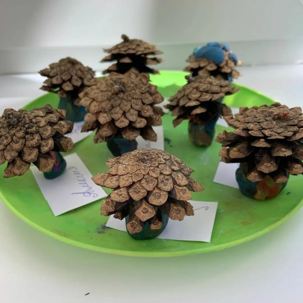 Поделка из шишки