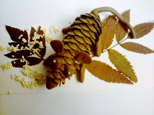 Аппликация из шишек и листьев