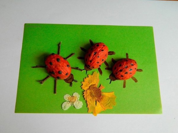 Насекомые из природного материала