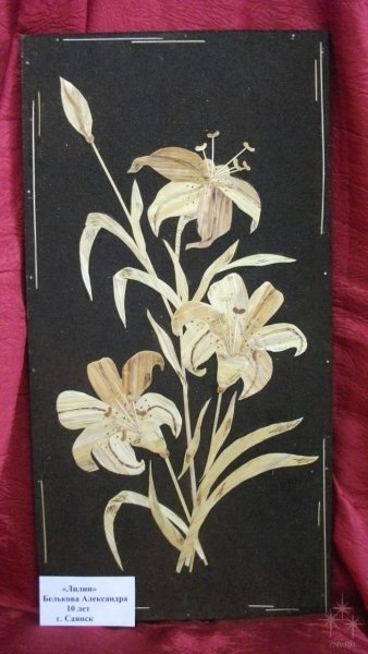 Панно из соломки на стену