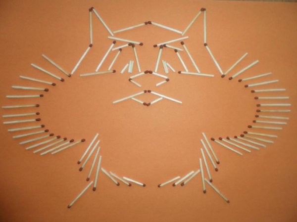 Аппликация из спичек для детей