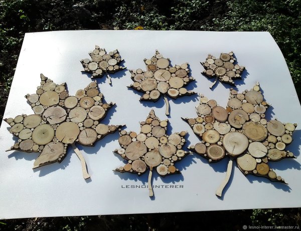 Из спилов дерева