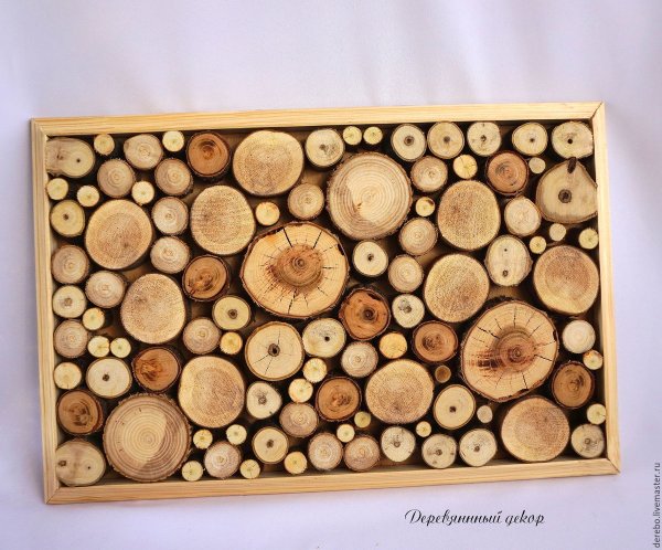 Спилы дерева для декора