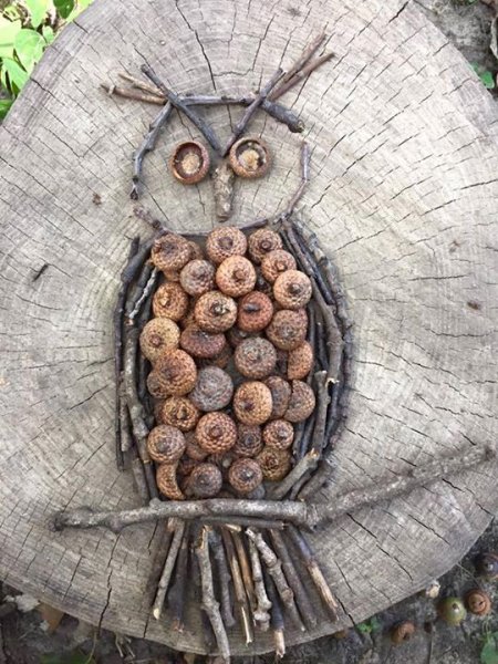 Поделки из веточек деревьев