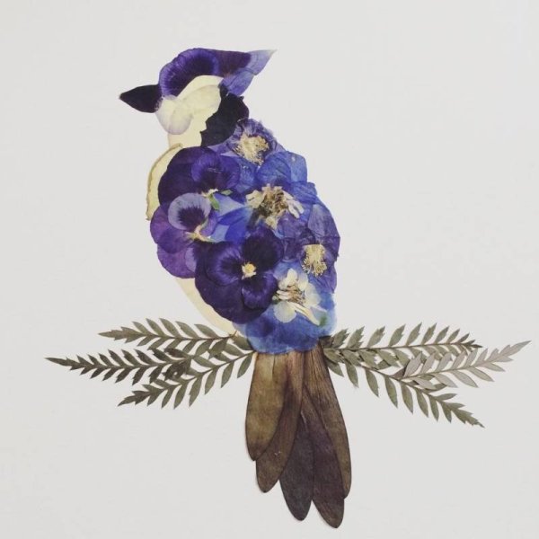 Аппликация из сухоцветов