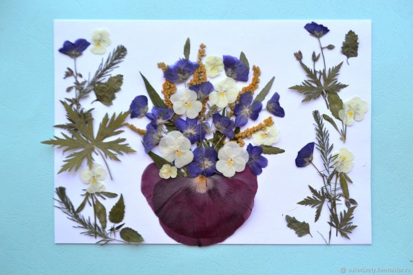 Композиция из гербария