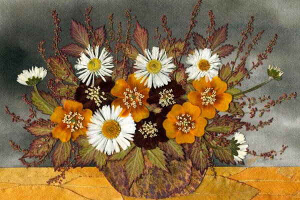 Ошибана натюрморт