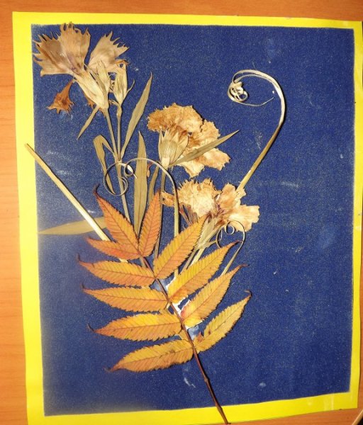 Аппликация из засушенных растений