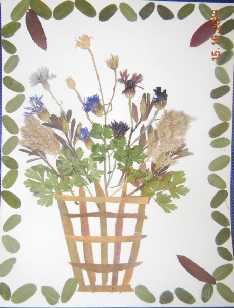 Композиция из гербария