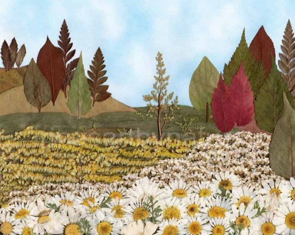 Пейзажи из засушенных растений