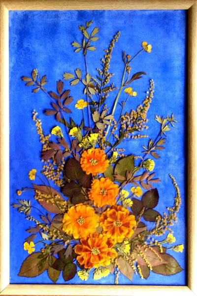 Ошибана картины