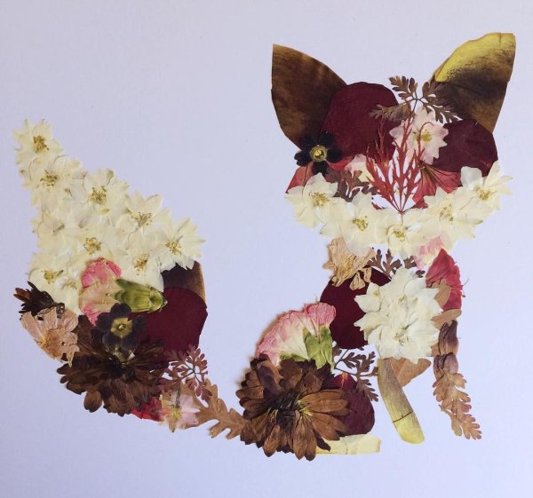 Композиция из гербария