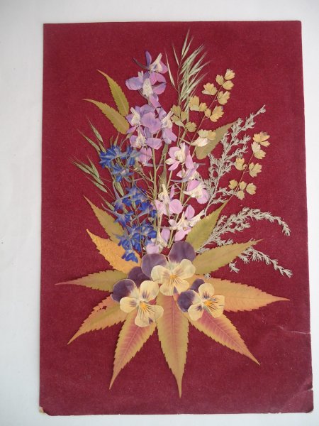 Панно из сухих цветов