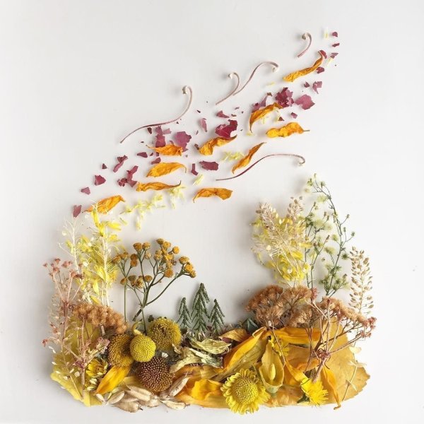 Коллаж из сухоцветов